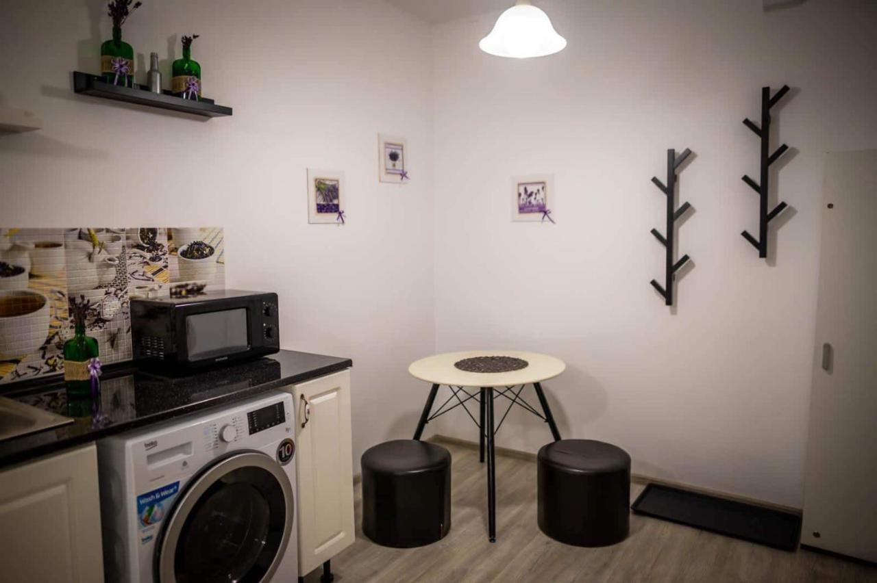The Nest@Pinehouse Apartment Брашов Екстериор снимка